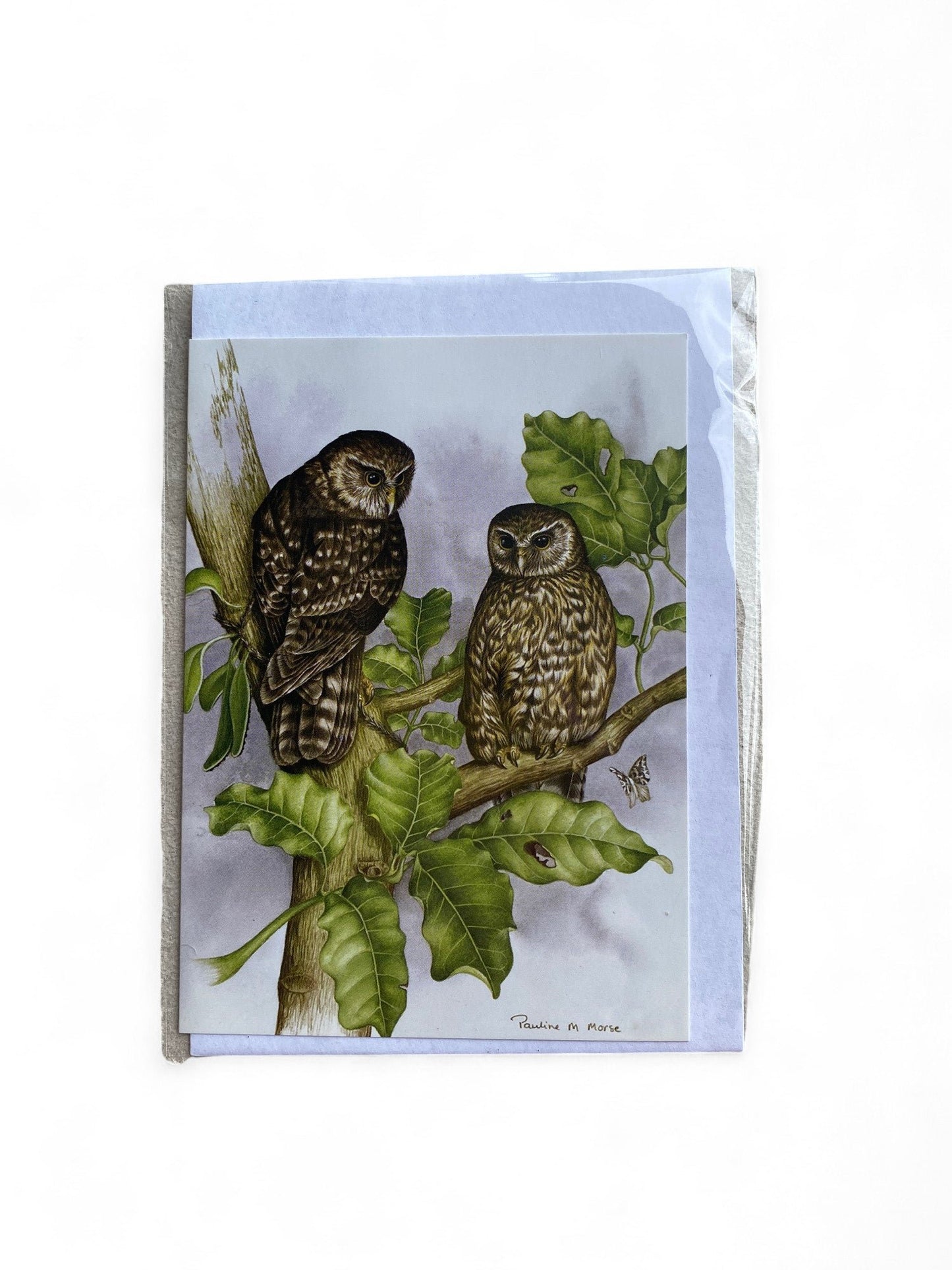 Owl Card